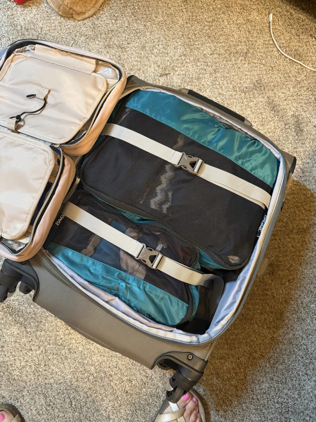 Travelpro Maxlite 5 Softside Checked Luggage Spinner, Black, 29-Inch customer photo 2