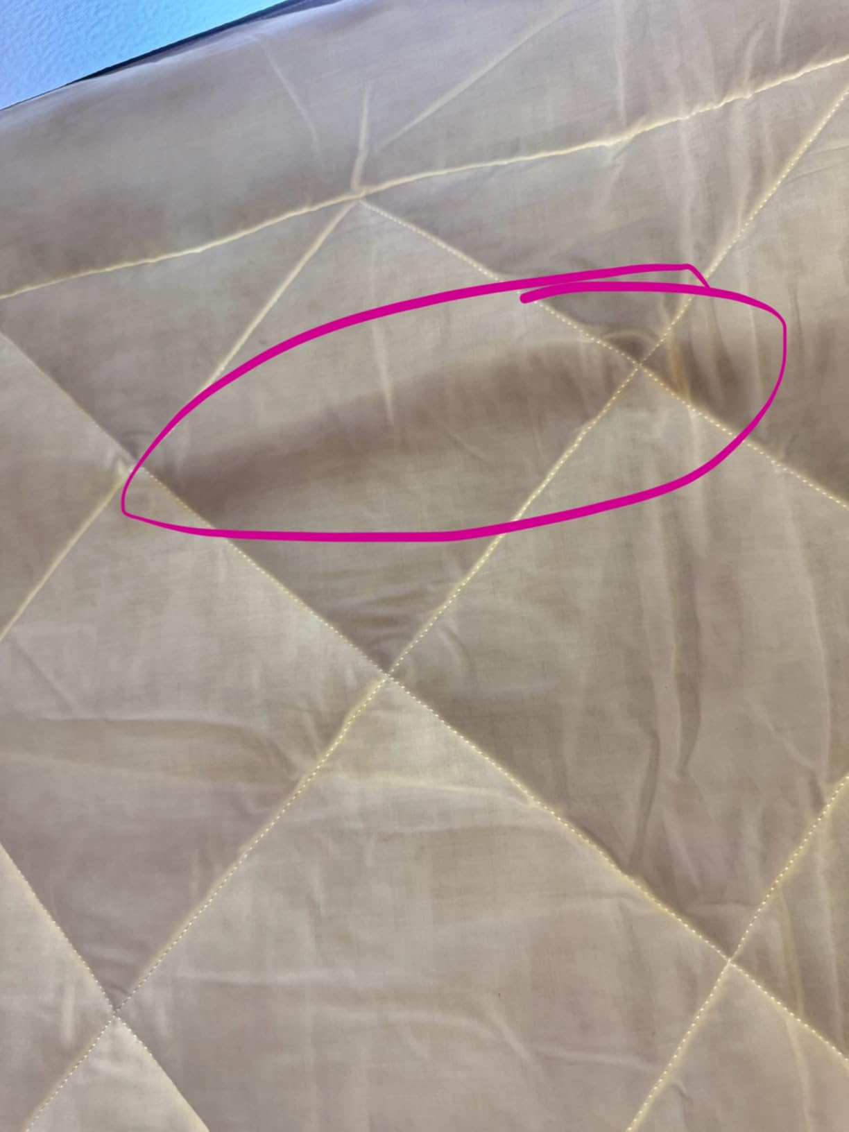 Woolino Premium Australian Wool Duvet Insert Bed Comforter, Mid-Weight Wool Comforter, Washable, Queen customer photo 1