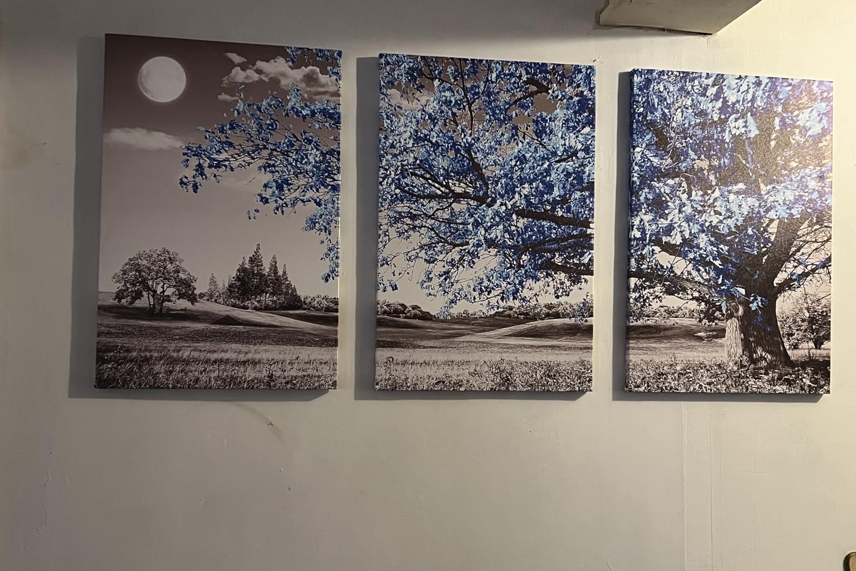 Wall Art For Living Room black and white Blue tree moon Canvas Wall Decor for Home artwork Painting 12