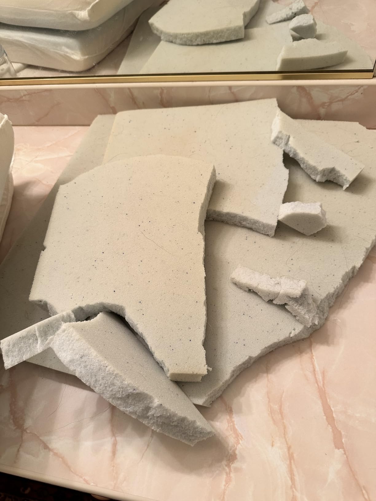 BarkBox Orthopedic Dog Bed - Large customer photo 1