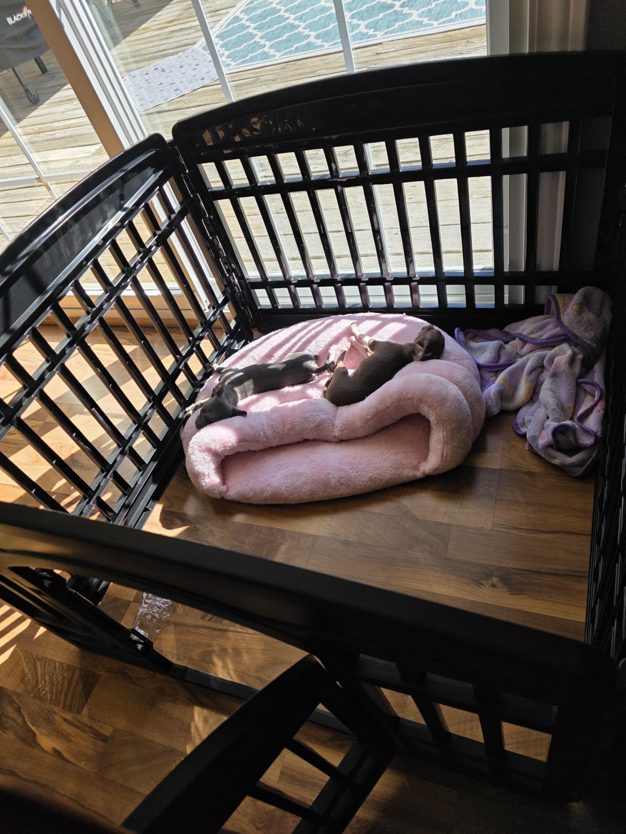 IRIS USA 4-Panel Dog Playpen, Pet Enclosure, White customer photo 1