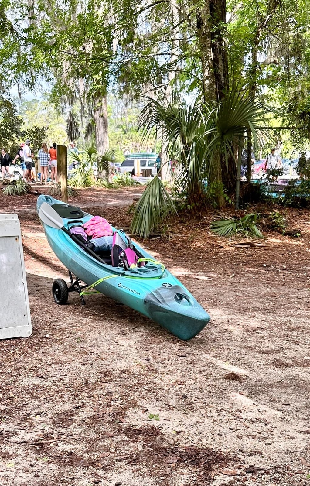 Perception Joyride - Sit Inside Kayak for Adults and Kids - Recreational and Multi-Water Kayak with Selfie Slot customer photo 2