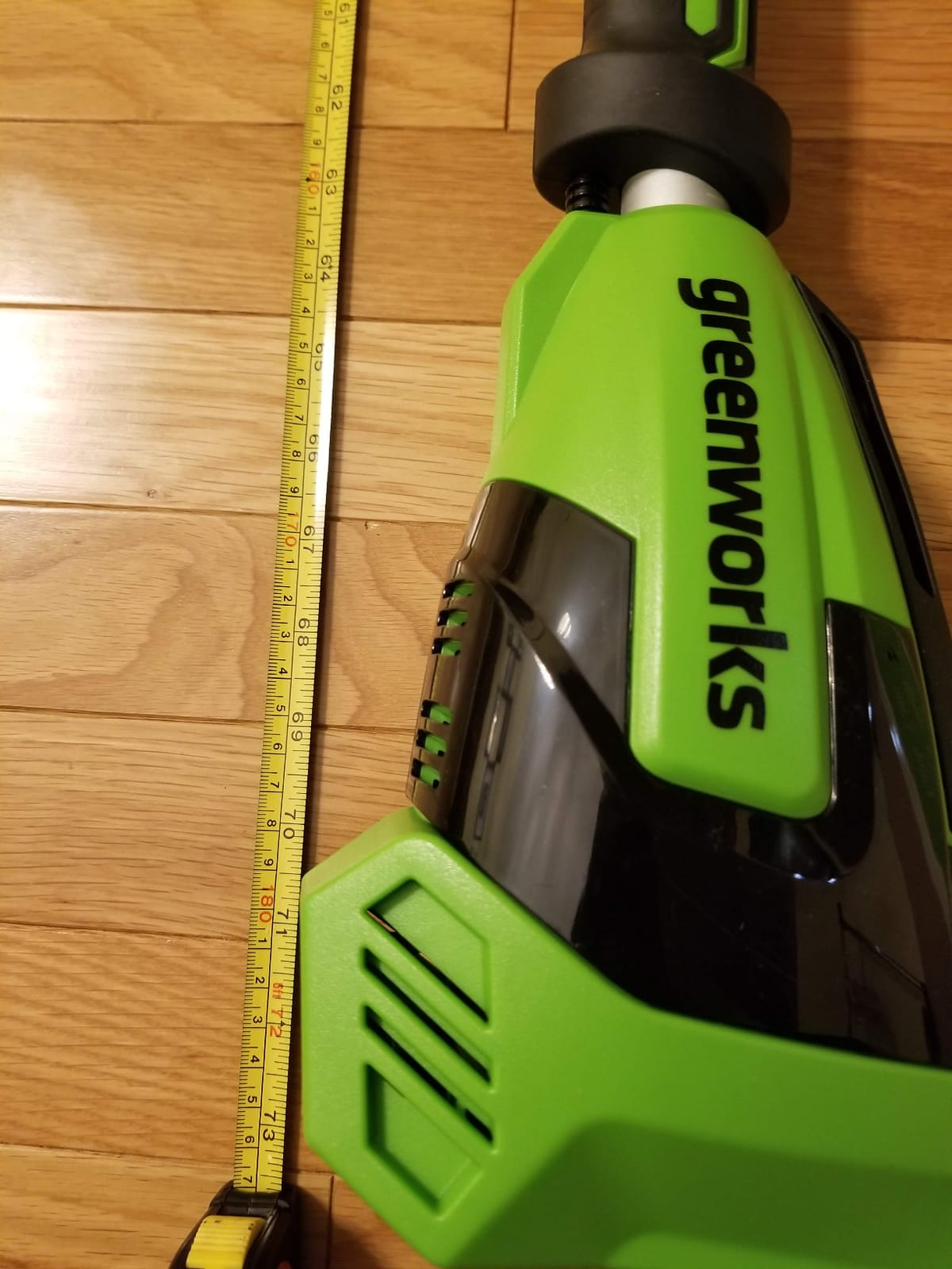 Greenworks 40V 8-Inch Cordless Polesaw, 2.0Ah Battery and Charger Included PS40B210 customer photo 1