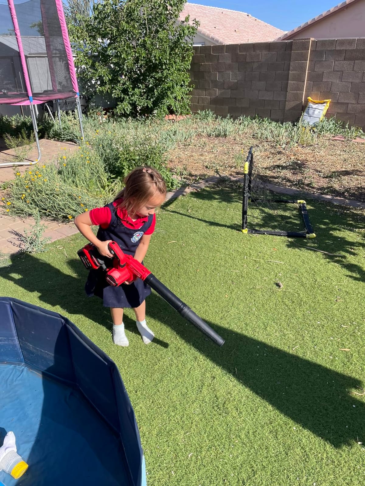 CRAFTSMAN V20 Cordless Leaf Blower, 125 mph, Bare Tool Only (CMCBL0100B) customer photo 1