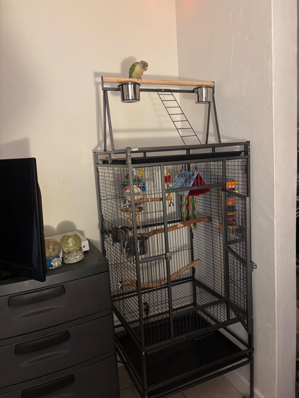 ZENY 68-Inch Birdcage, Playtop Parrot Cage, Wrought Iron Bird Cage with Rolling Stand, Heavy-Duty Pet Bird House for Parrot Cockatiel Cockatoo Parakeet Macaw Finches, Black customer photo 2