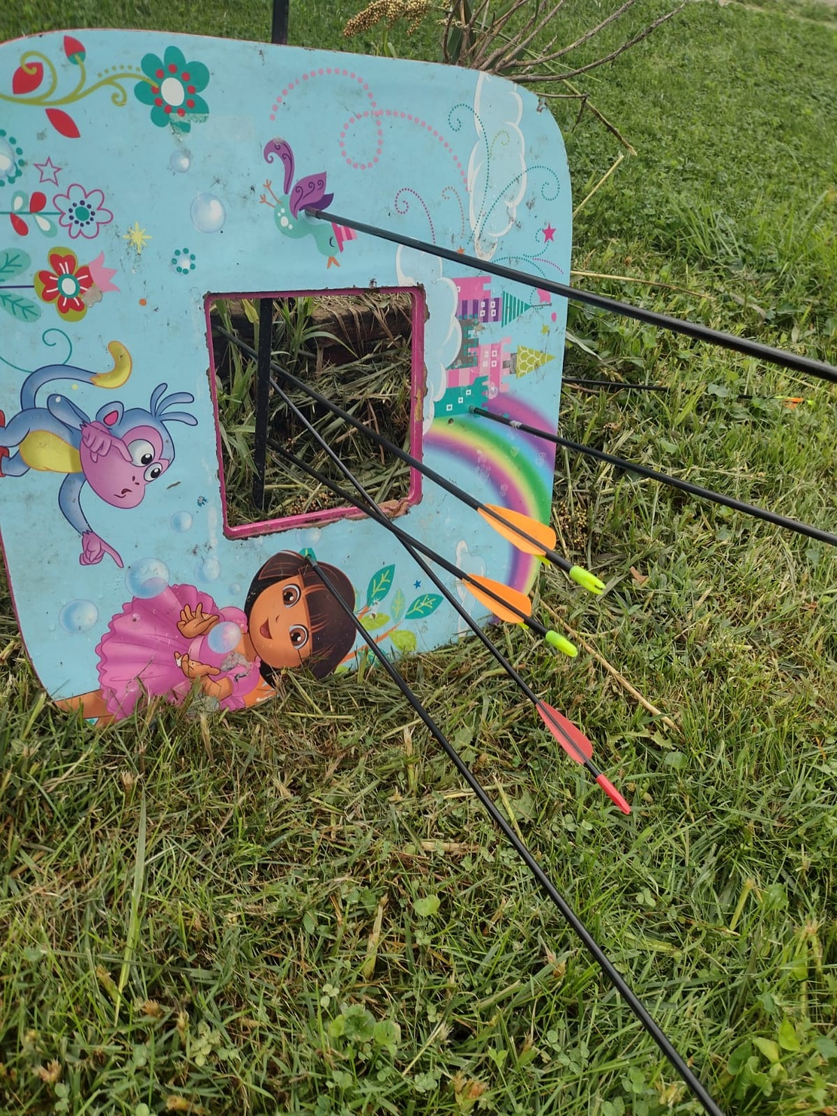 Compound Bow Archery for Youth and Beginner, Right Handed,19”-28” Draw Length,15-29 Lbs Draw Weight, 260 fps customer photo 1