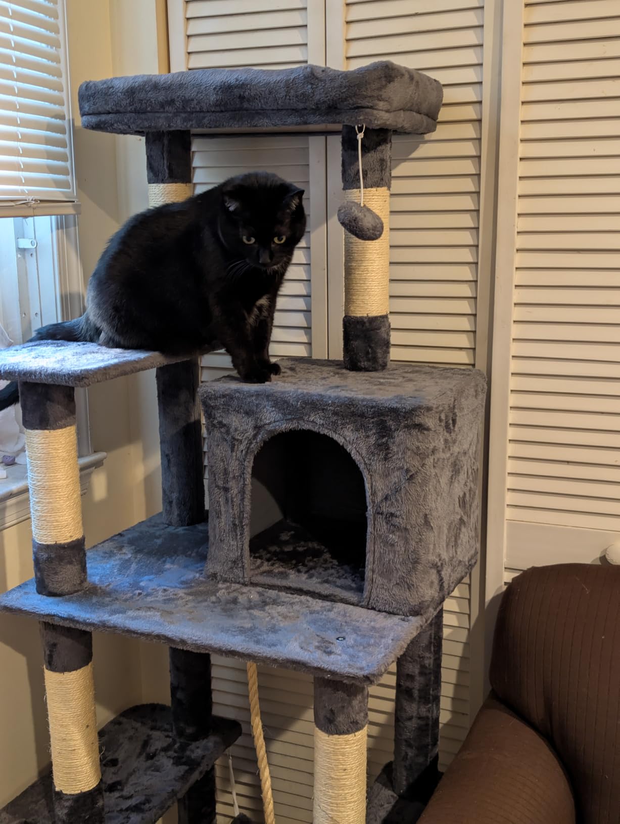 Yaheetech 63in Sturdy Large Cat Tree for Indoor Heavy Cats, Tall Tower customer photo 1