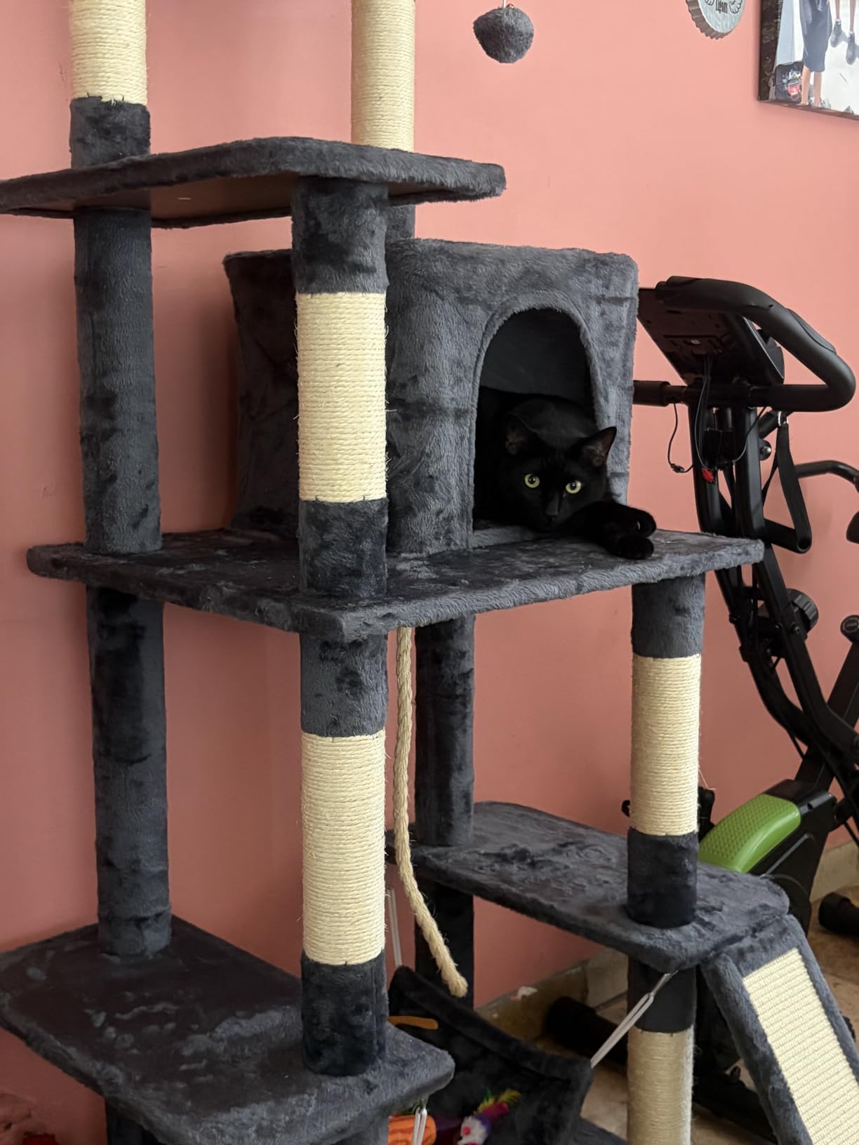 Yaheetech 63in Sturdy Large Cat Tree for Indoor Heavy Cats, Tall Tower customer photo 2