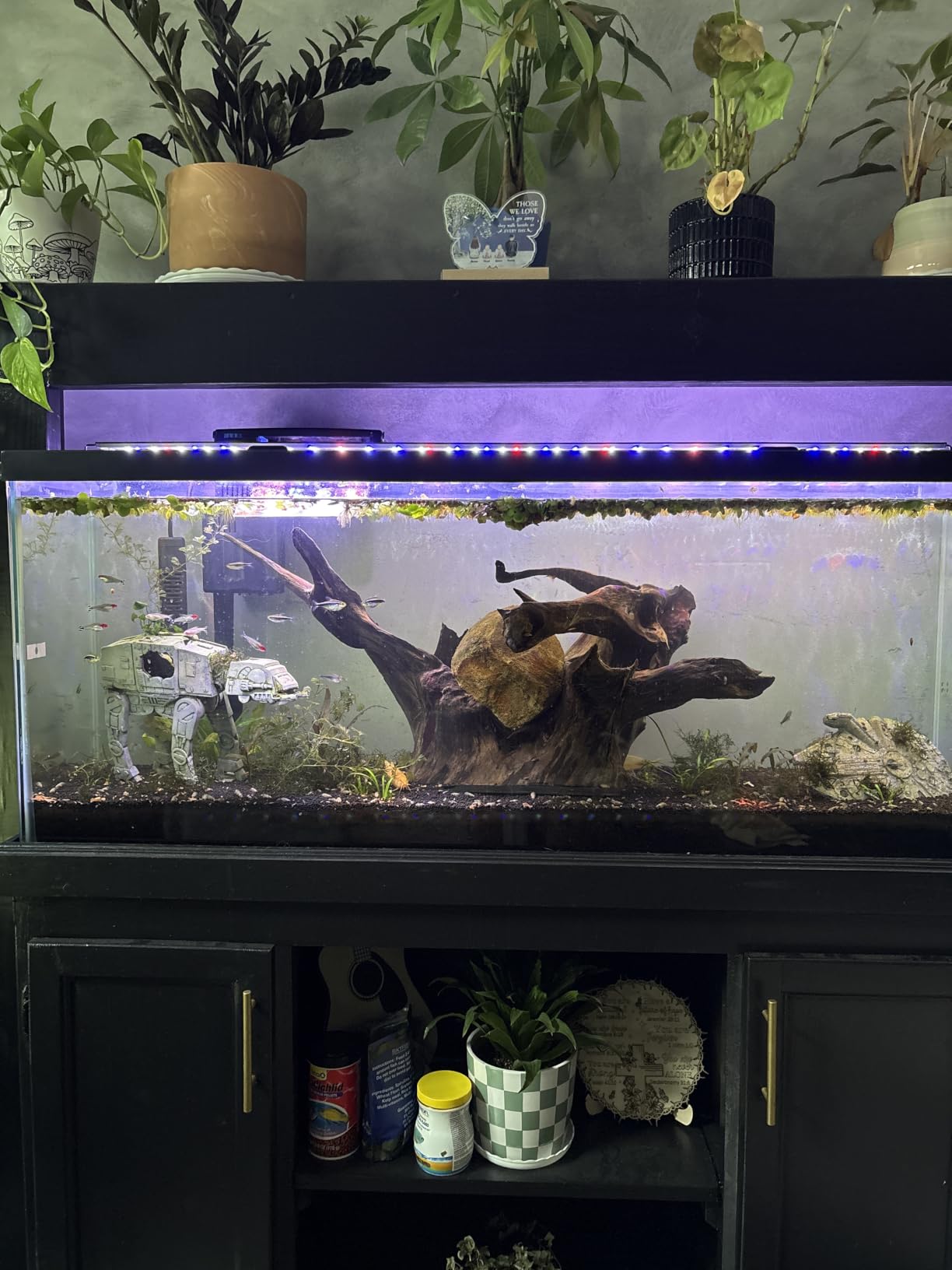 hygger 14W Full Spectrum Aquarium Light with Aluminum Alloy Shell Extendable Brackets, White Blue Red LEDs, External Controller, for Freshwater Fish Tank (18-24 inch) customer photo 2
