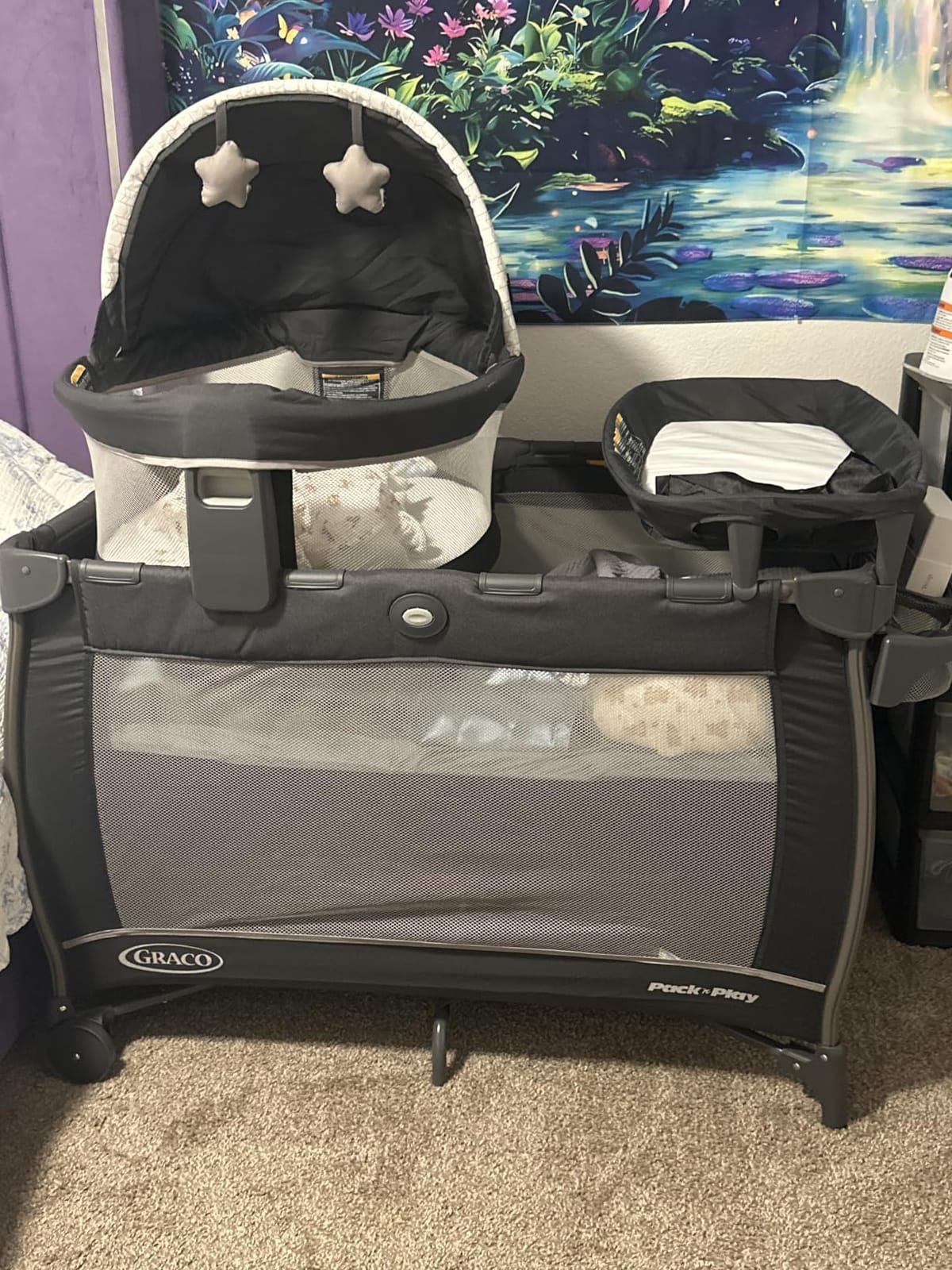 Graco Travel Dome LX Pack 'n Play Playard, Annie customer photo 2