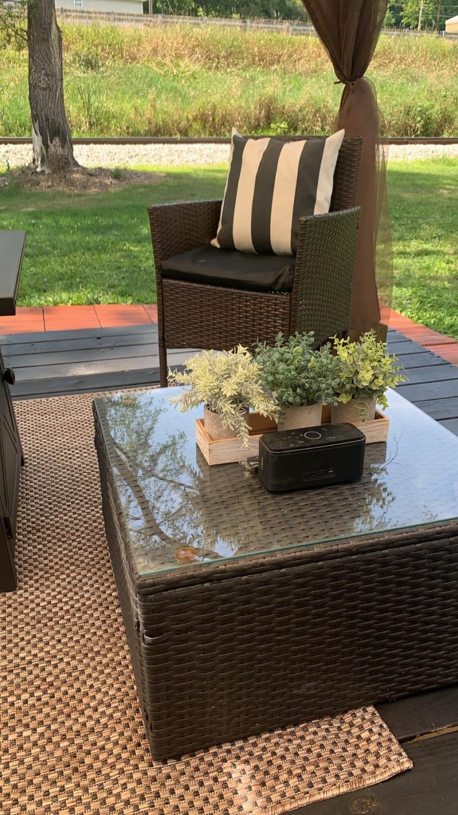 Winlyn Set of 3 Mini Potted Artificial Eucalyptus Plants Faux Rosemary Plant Assortment with Wood Planter Box for Indoor Office Desk Apartment Wedding Tabletop Greenery Decorations 8.7