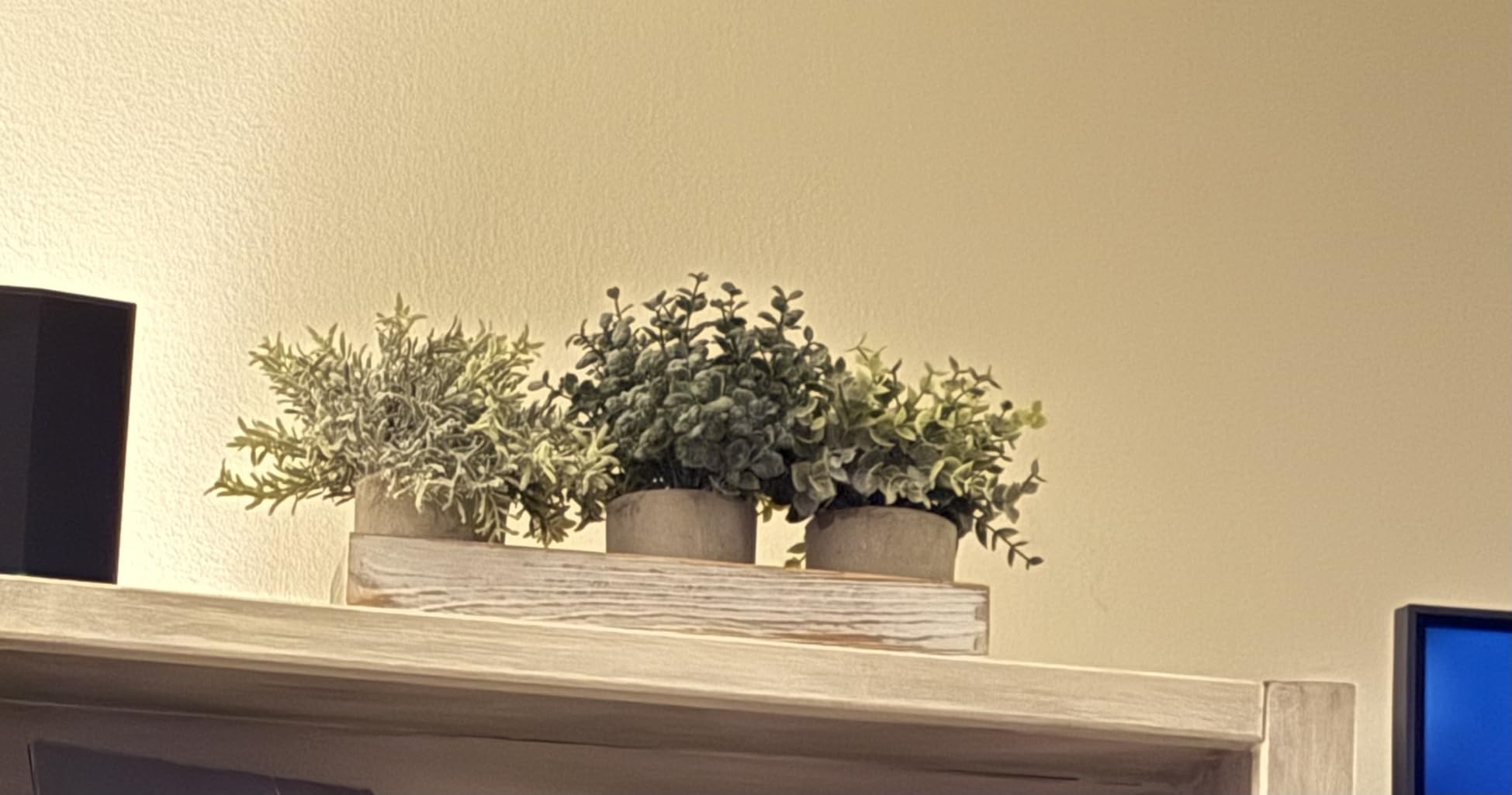 Winlyn Set of 3 Mini Potted Artificial Eucalyptus Plants Faux Rosemary Plant Assortment with Wood Planter Box for Indoor Office Desk Apartment Wedding Tabletop Greenery Decorations 8.7