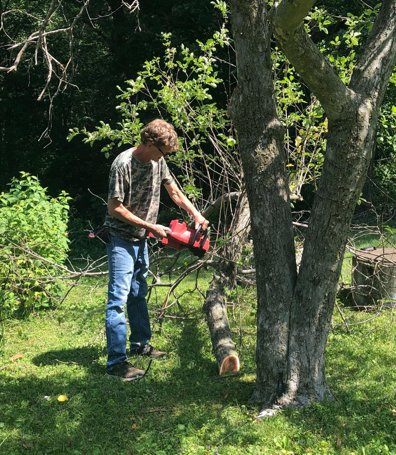 SKIL PWR CORE 40 Brushless 40V 14” Lightweight Chainsaw Kit with Tool-free Chain Tension & Auto Lubrication, Includes 2.5Ah Battery and Auto PWR Jump Charger - CS4555-10 customer photo 1