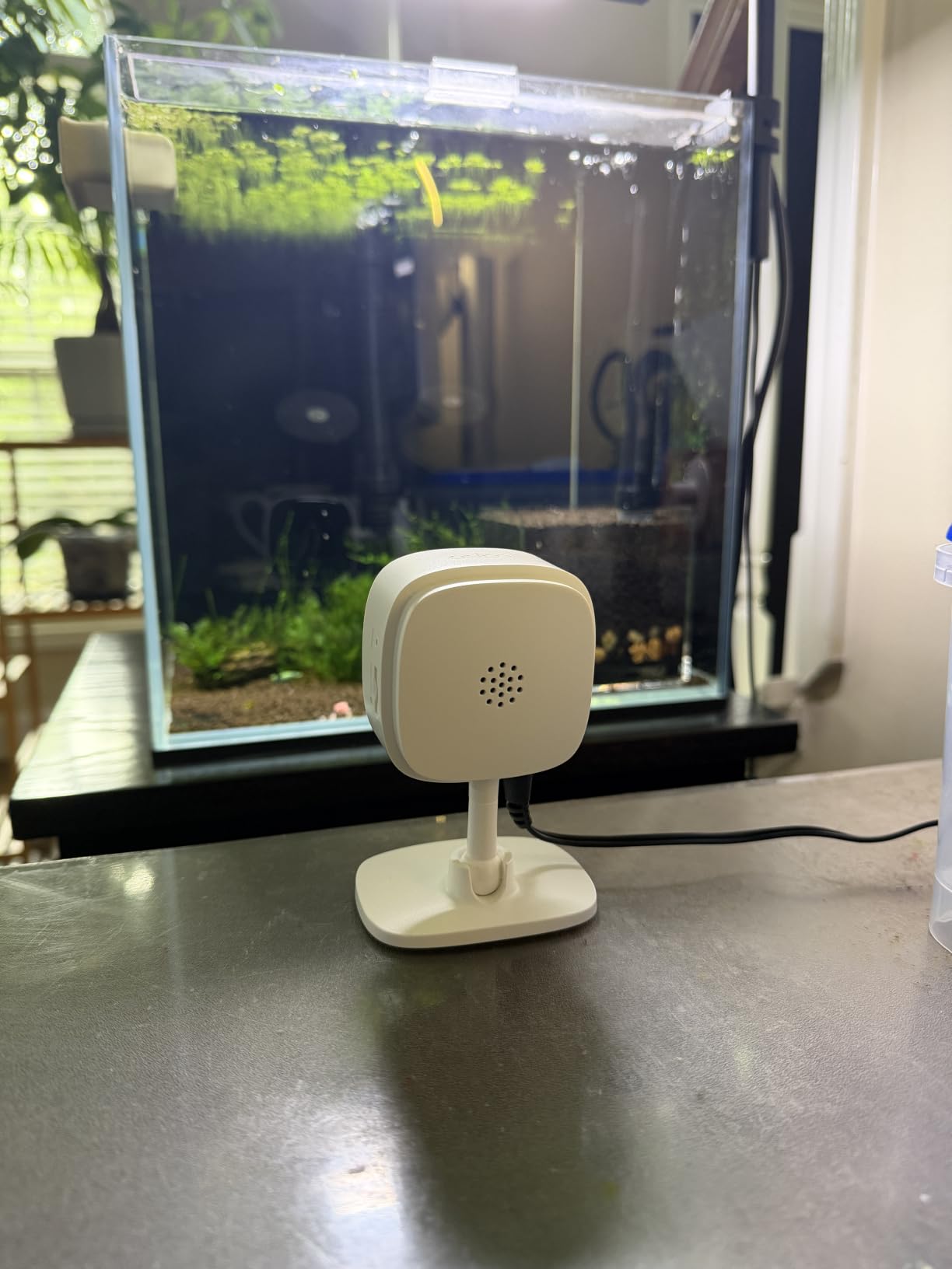 Tapo 1080P Indoor Security Camera, Baby Monitor, Dog Camera, Wired, C100 customer photo 2