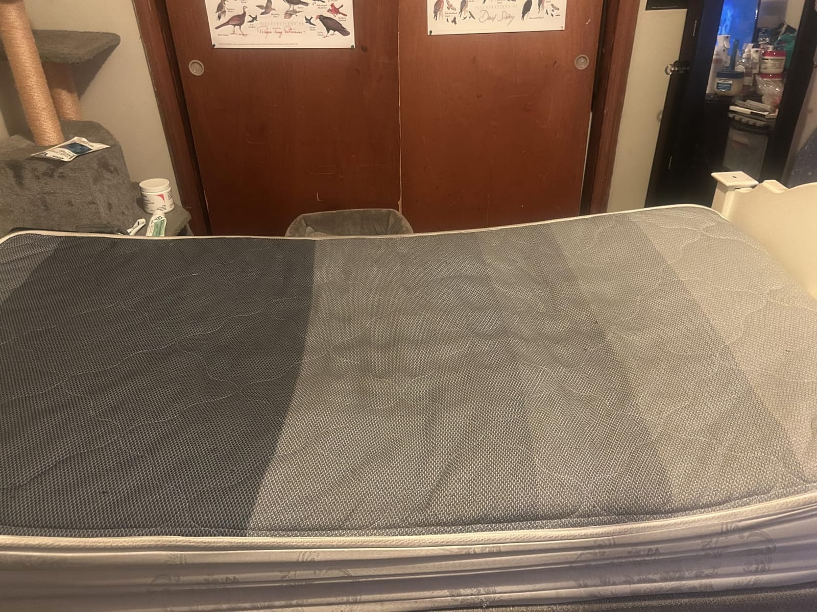 Niagara Sleep Solution Queen RV Ultra Soft Mattress Topper—Back Pain Relief customer photo 2