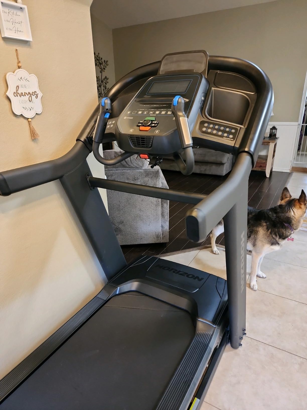 Horizon Fitness Treadmill customer photo 2