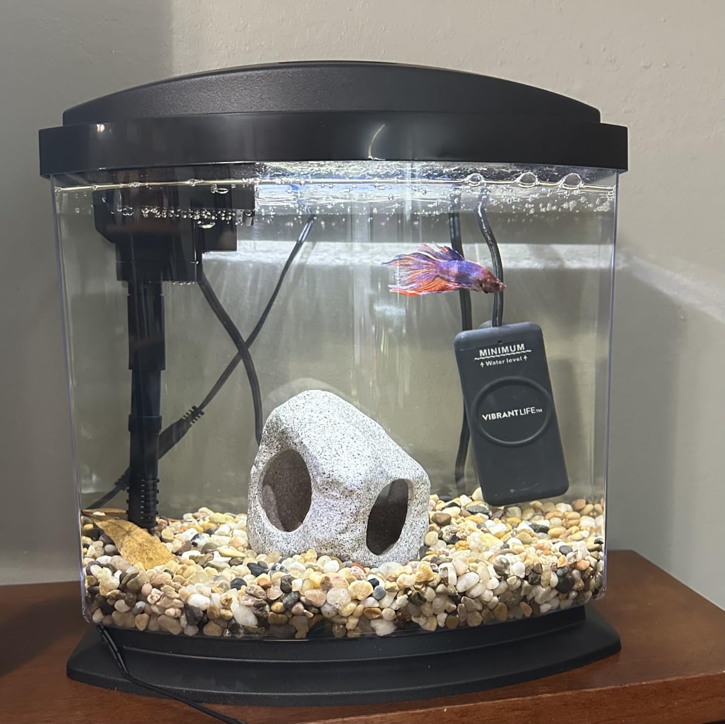 Aqueon MiniBow Small Aquarium Starter Kit, All-in-One Desktop Fish Tank for Betta, Shrimp or Small Fish, Includes SmartClean Filter Technology, LED Light and Conditioner, Black, 5 Gallon customer photo 1