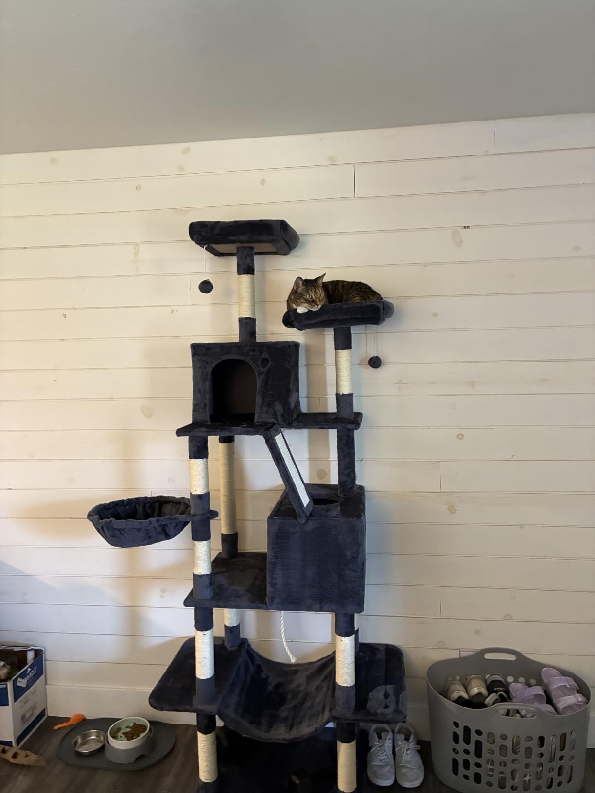 Feandrea Cat Tree, 81.1-Inch Large Cat Tower, Multi-Level Condo, Smoky Gray customer photo 1