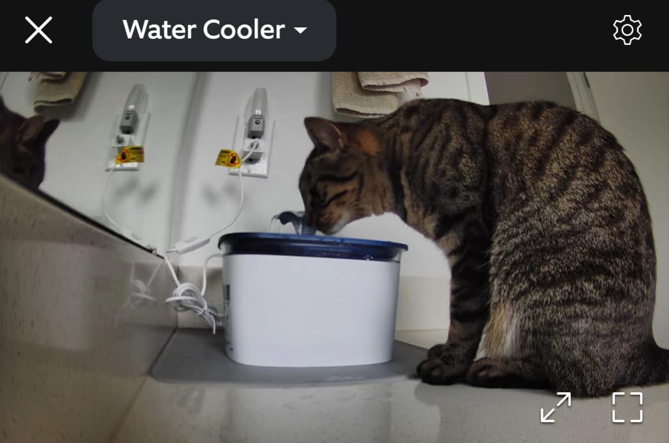 Veken Innovation Award Winner 95oz/2.8L Cat Water Fountain, C1 Classic customer photo 2