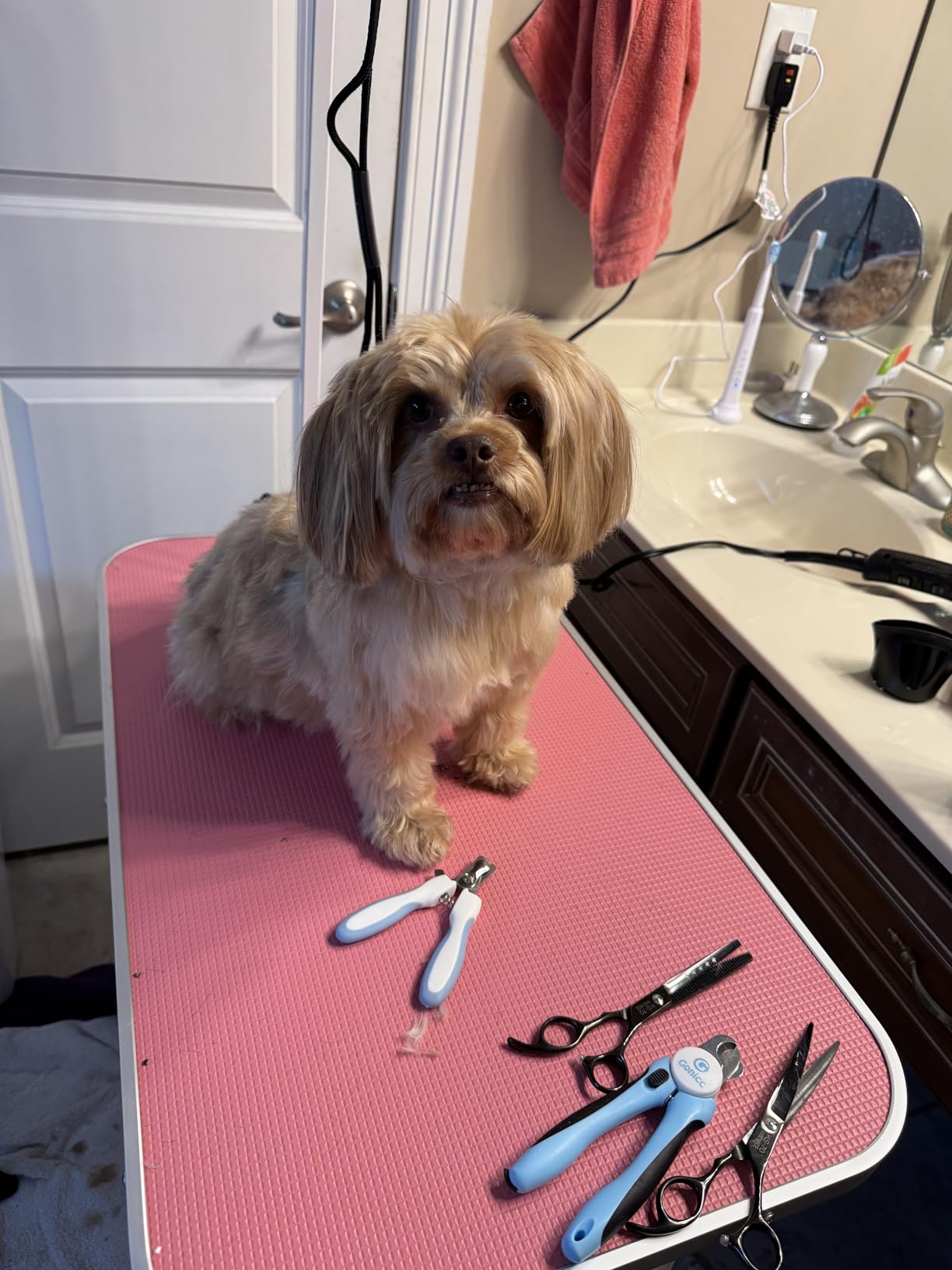 LEIBOU Pet Dog Grooming Table Foldable Grooming Table Heavy Duty Iron Frame with Arm & Noose for Dog Cat Pet Grooming (32'', Pink) customer photo 1