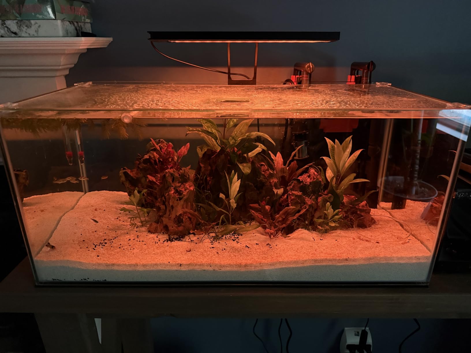 hygger Clip On 24/7 Lighting Aquarium LED Light,Sunrise-Daylight-Moonlight and DIY Mode, Adjustable Timer/Brightness Fish Tank Light with 7 Colors for Planted Tank (14W for 12~20in Tank) customer photo 2