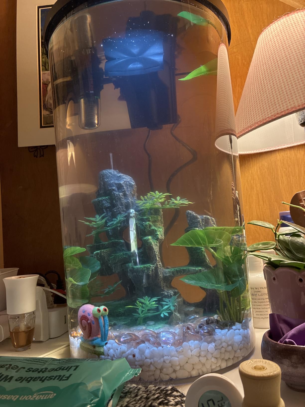 Koller Products Plastic 6-Gallon AquaView 360 Aquarium Kit for Tropical Fish, Betta Fish with LED Lighting and Power Filter Clear, 4-Piece Set customer photo 2