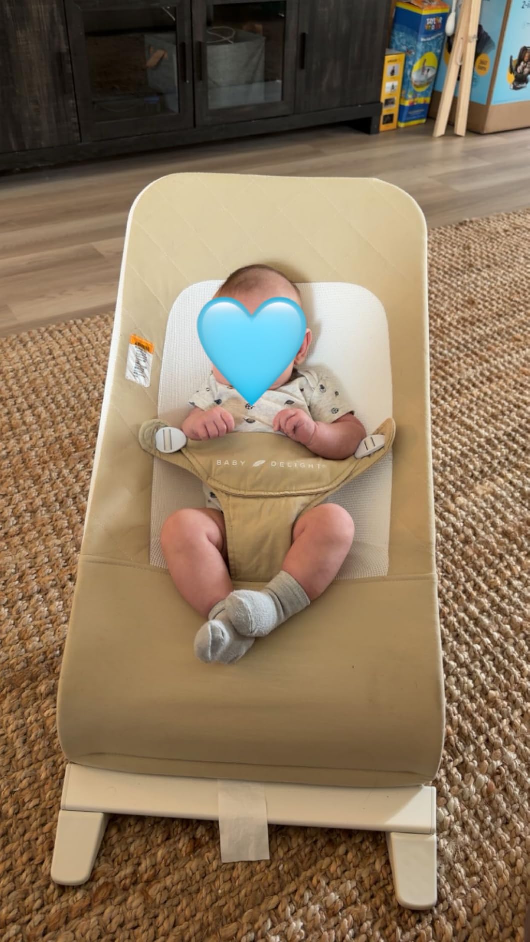 Baby Delight Alpine Deluxe Portable Bouncer, Infant, 0-6 Months, 100% GOTS Certified Cotton Fabrics, Organic Oat customer photo 1