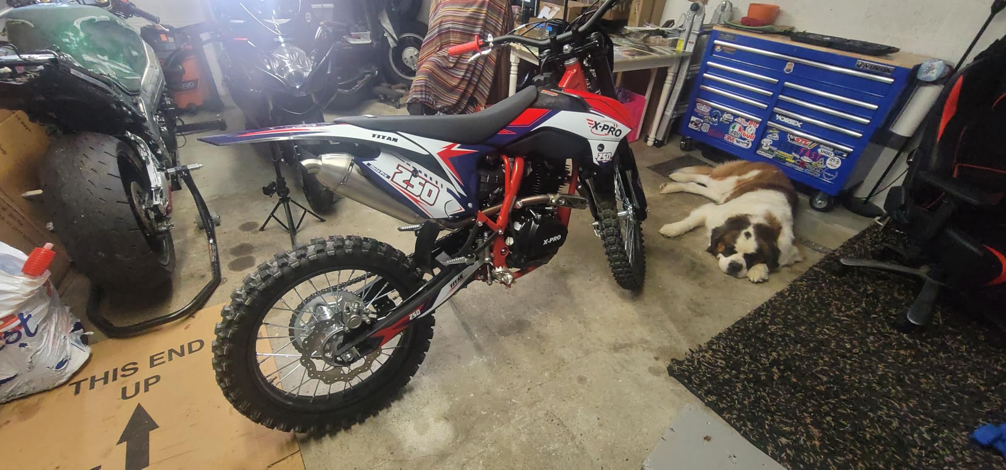 X-PRO 250cc Dirt Bike with LED Light Zongshen Engine Pit Bike Gas Dirt Bikes Adult Pitbike, Big 21