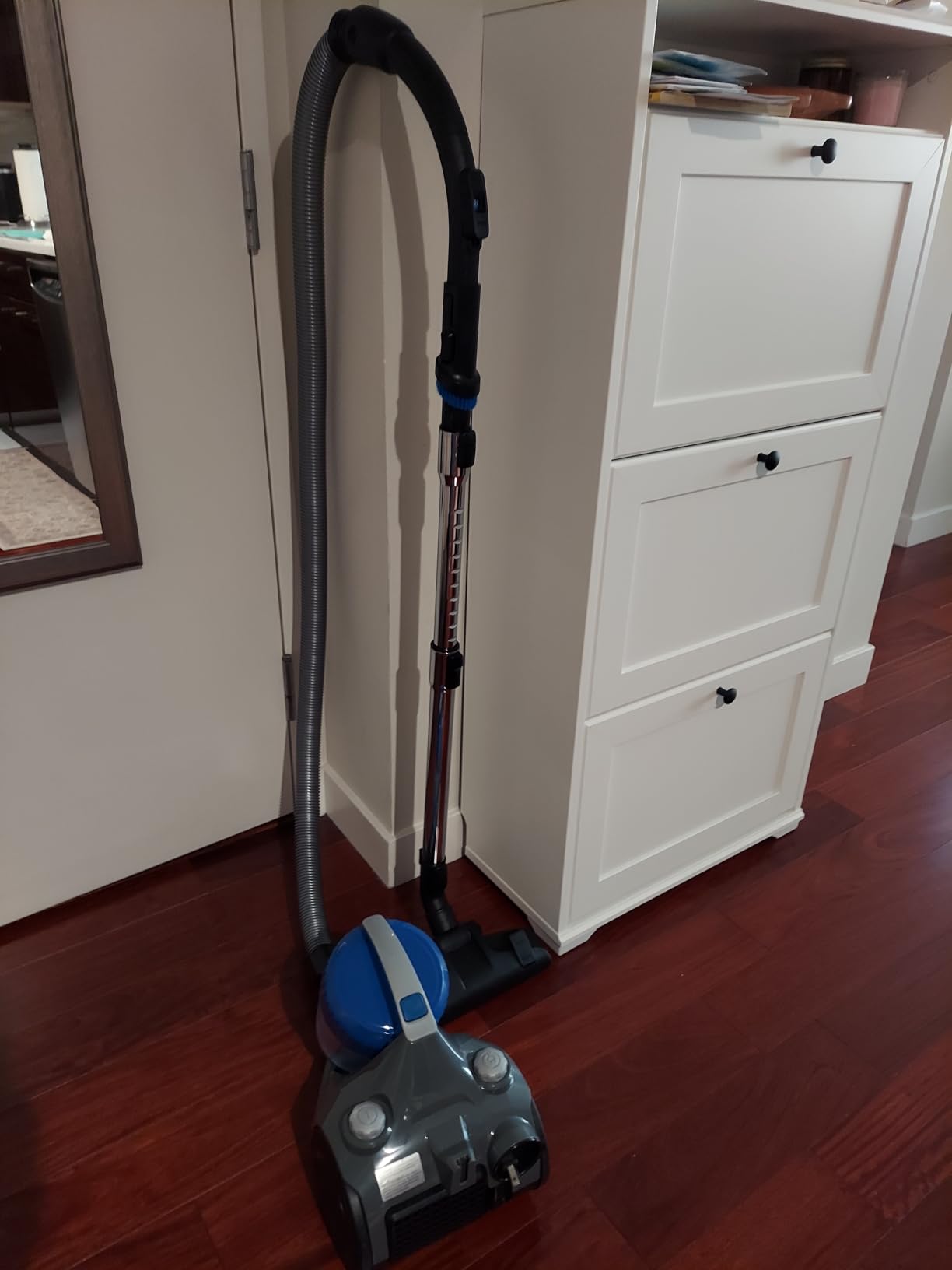 Eureka Bagless Canister Vacuum Cleaner, Lightweight Vacuum for Home, Red customer photo 1