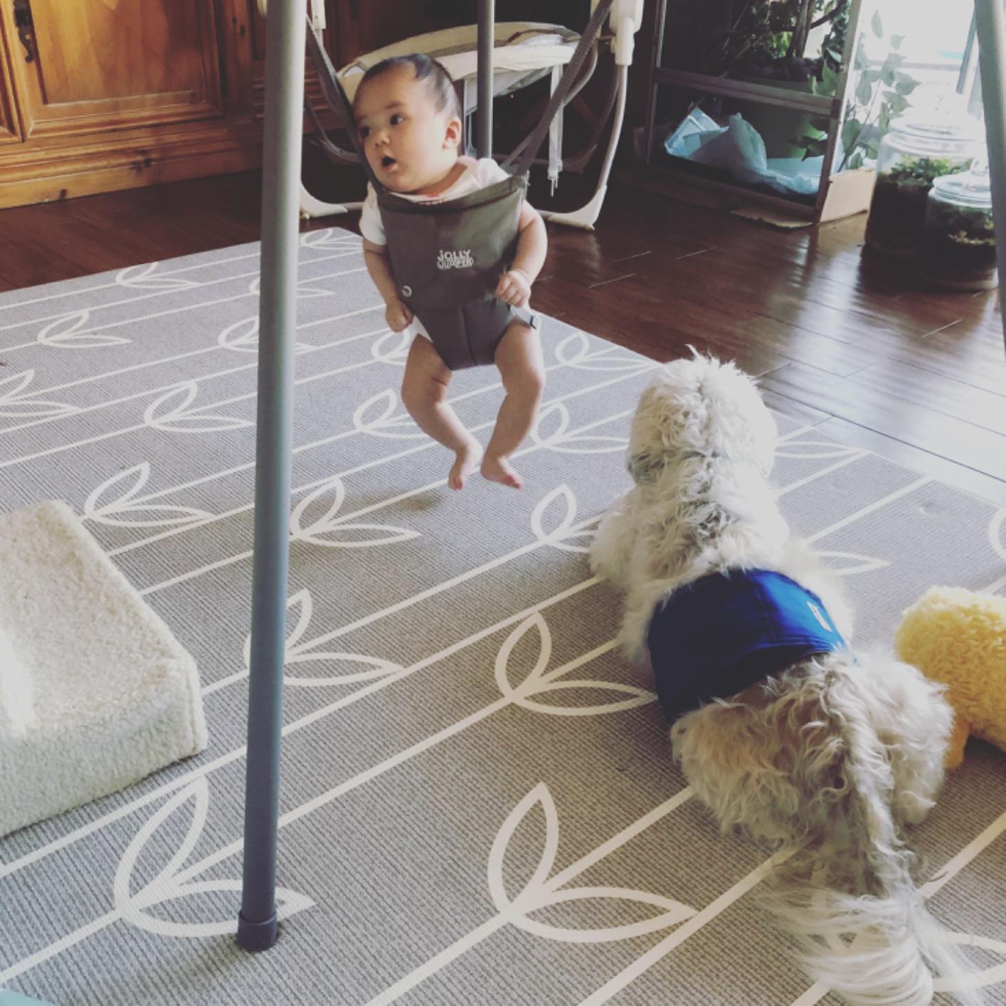 Jolly Jumper Elite Baby Exerciser - Grey Safari customer photo 2