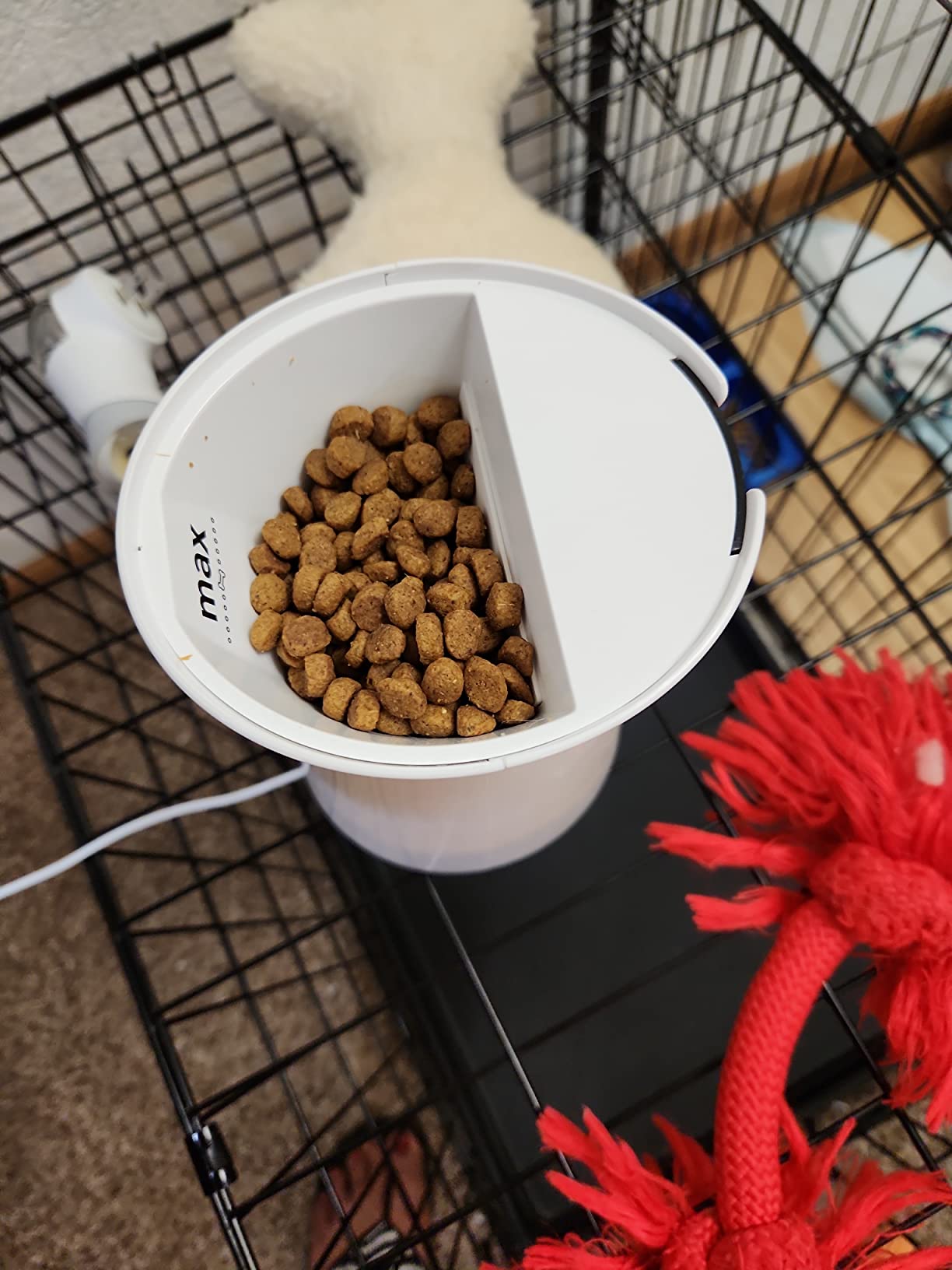 Furbo 360° Dog Camera [Core Features, No Ongoing Cost] customer photo 2