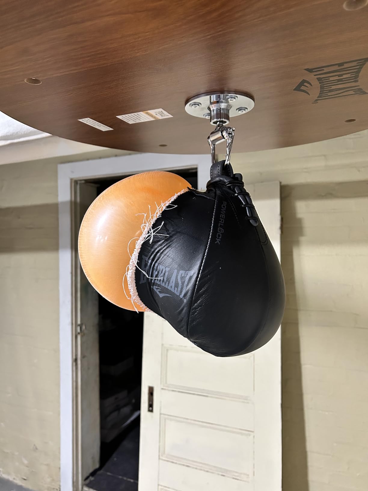 Everlast Speed Punching Bag | Speed Bag for Boxing & MMA | Durable Reflex Training Boxing Bag for Hand Speed, Accuracy & Home Gym Workouts customer photo 2