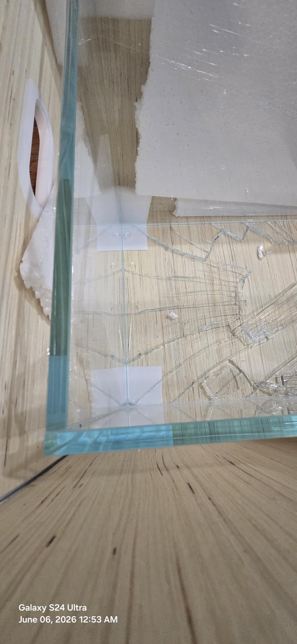 Allcolor Low Iron Glass Ultra Clear Rimless Aquarium Tank (6Gal) customer photo 2