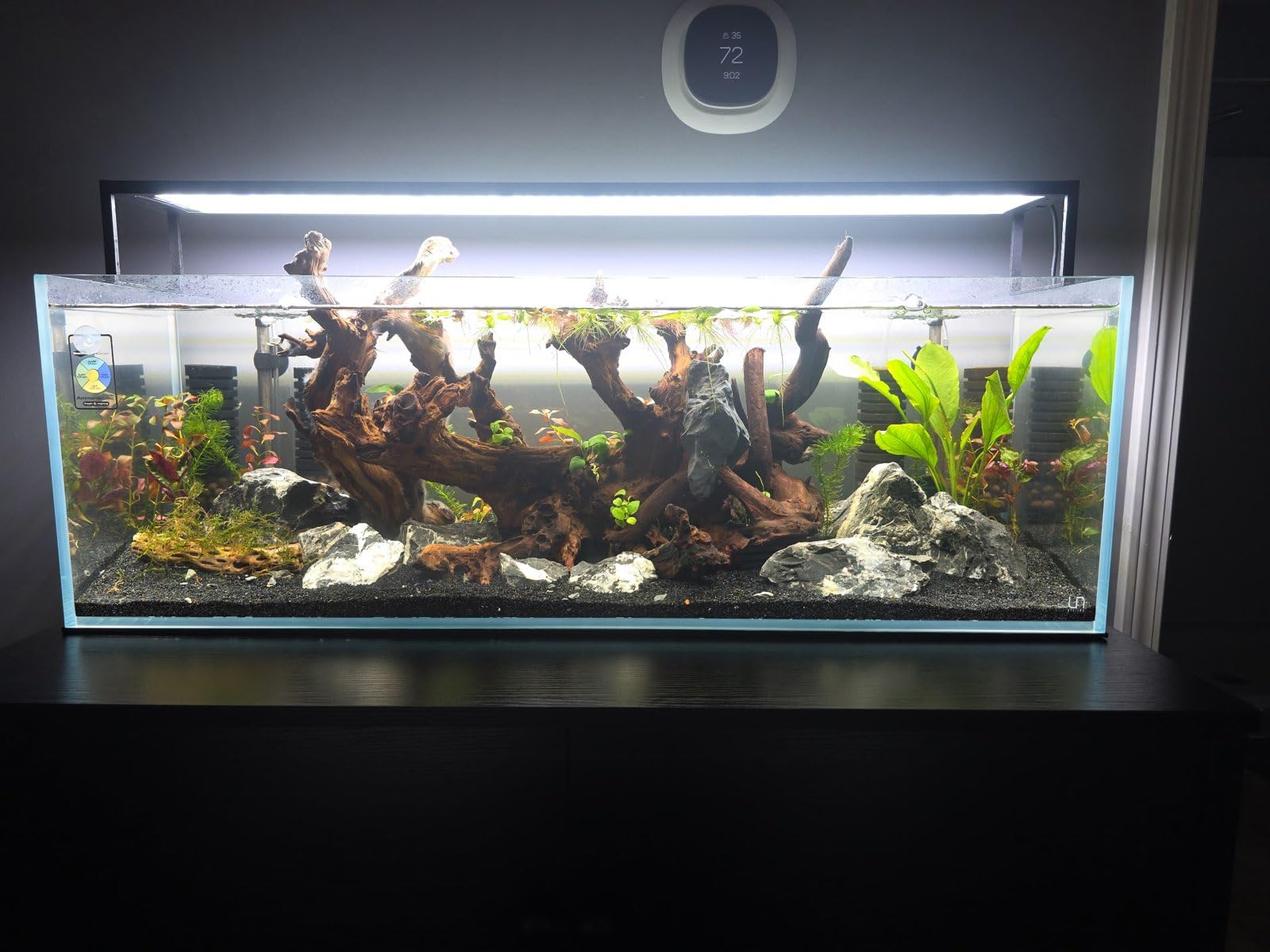 UNS Ultra Clear Rimless Tank - 16.9GAL | 64L - 15.74x15.74x15.74 | 40x40x40 CM, 6mm Glass Thickness, Leveling Mat Included - Low Iron, High Clarity Fish Tank w/ 45° Mitered Edge - [40C] customer photo 1