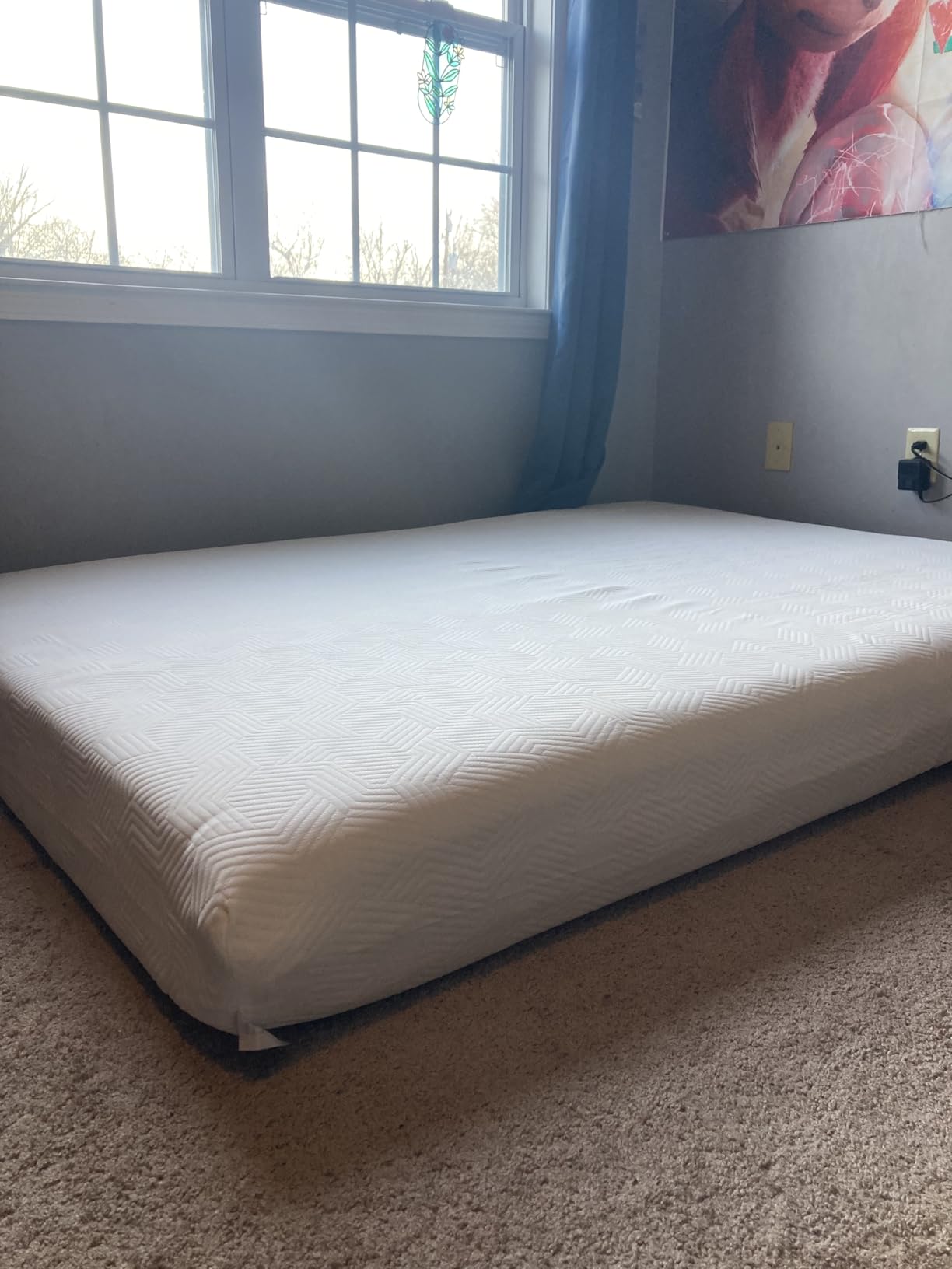 NapQueen 8 Inch Full Size Mattress, Bamboo Charcoal Memory Foam Mattress, Bed in a Box customer photo 1