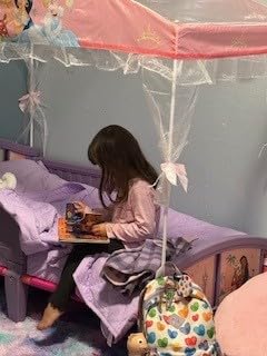 Delta Children Canopy Toddler Bed, Disney Princess customer photo 2