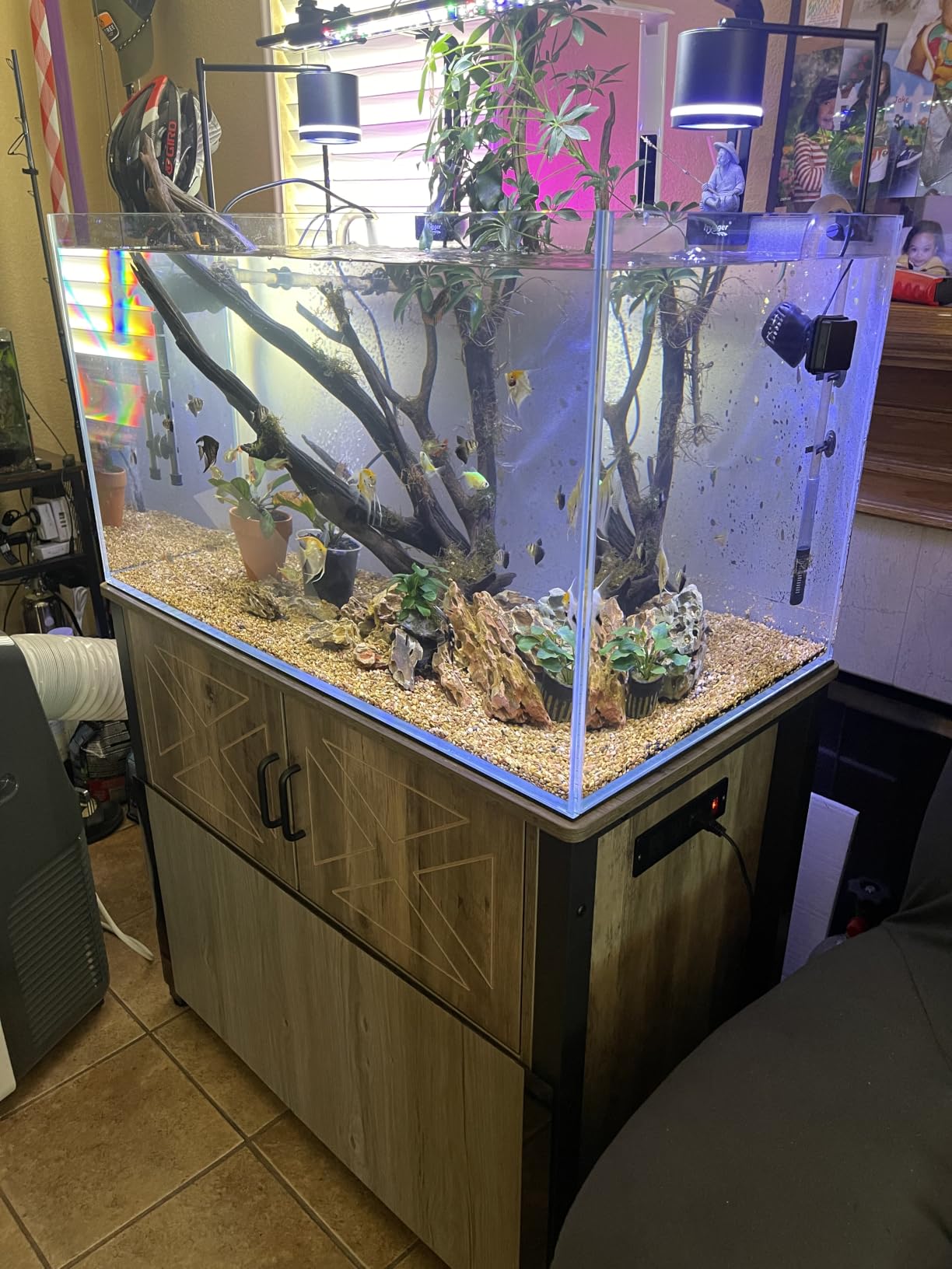 LANDEN Aquarium 45P 10 Gallon Ultra Clear Glass Rimless Fish Tank customer photo 2