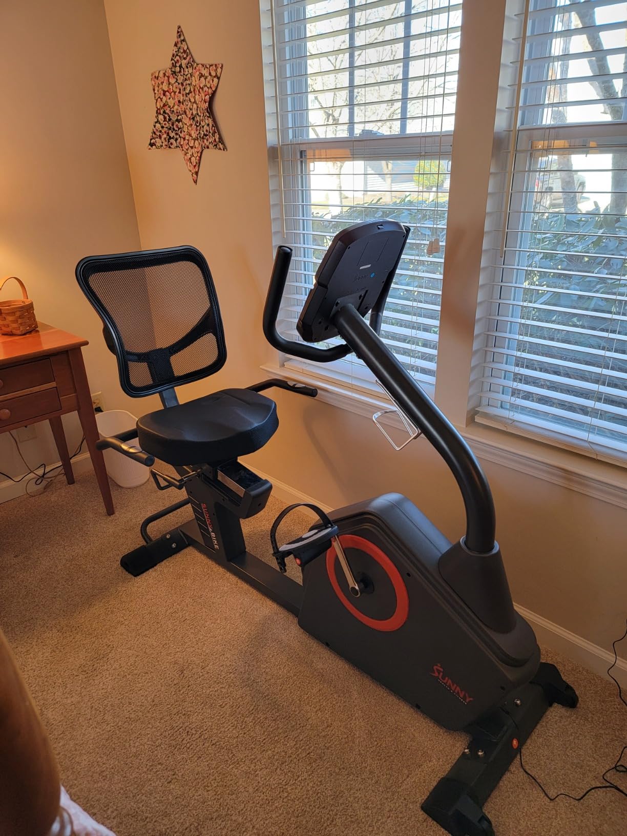 Sunny Health & Fitness Smart Recumbent Bike for Indoor Low Impact Cardio customer photo 2