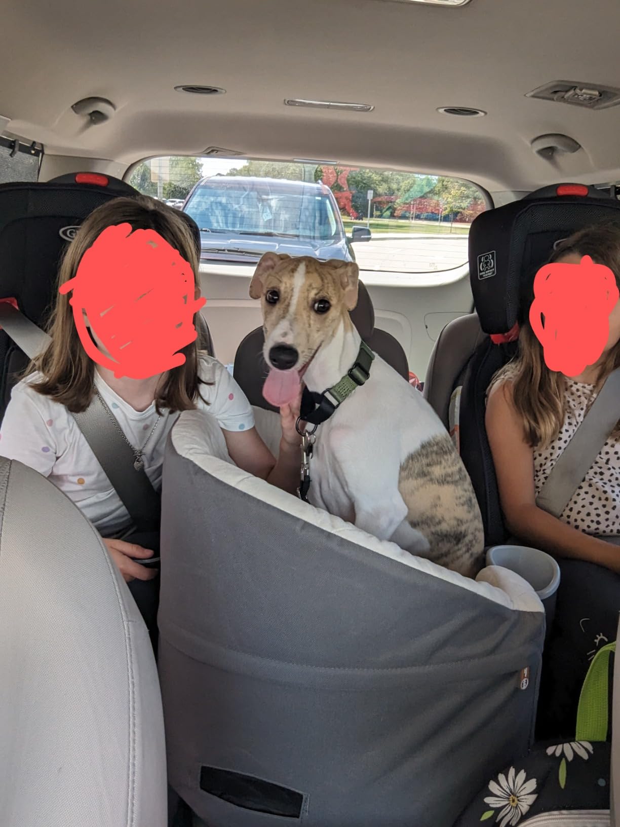K&H Dog Car Seat, Bucket Booster for Small to Medium Pets, L Black/Cream customer photo 2
