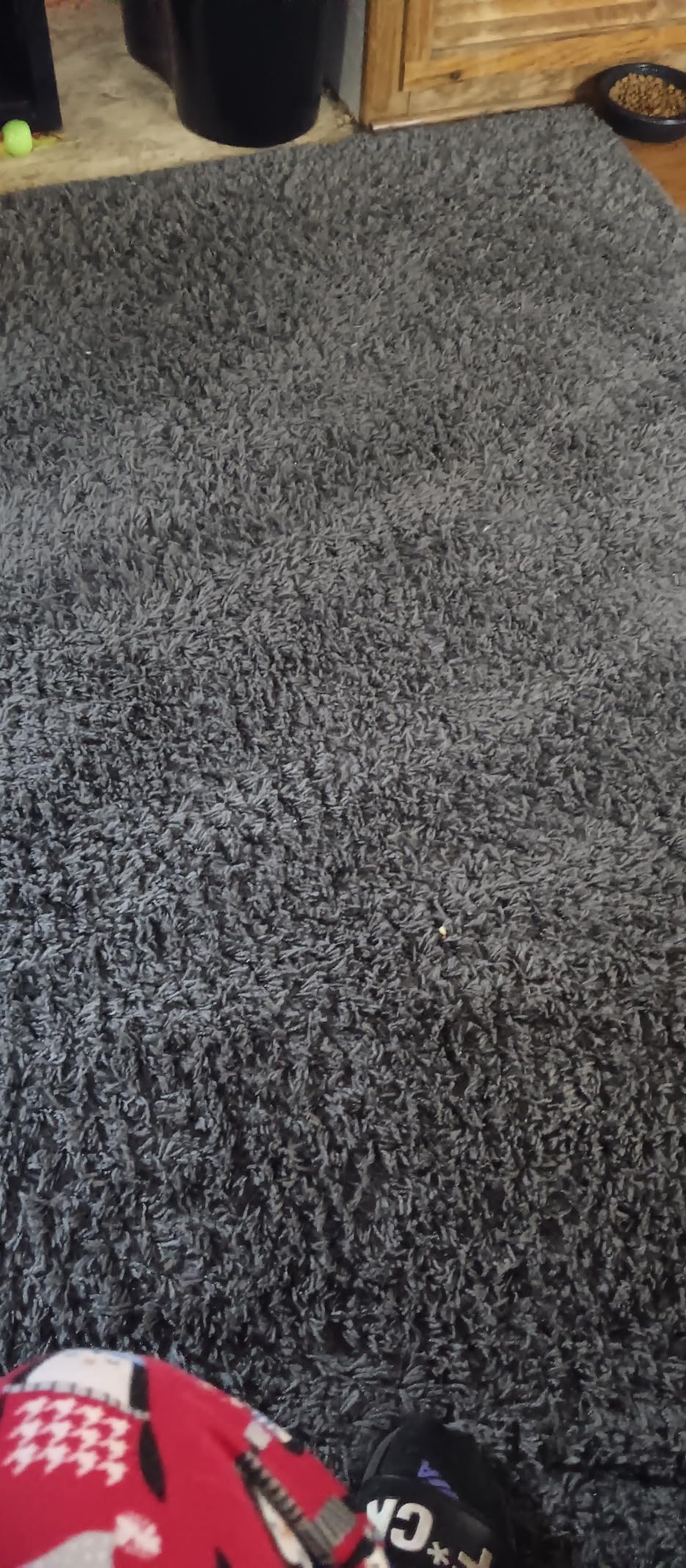 Bissell® Featherweight™ PowerBrush Vacuum, 2773A customer photo 1