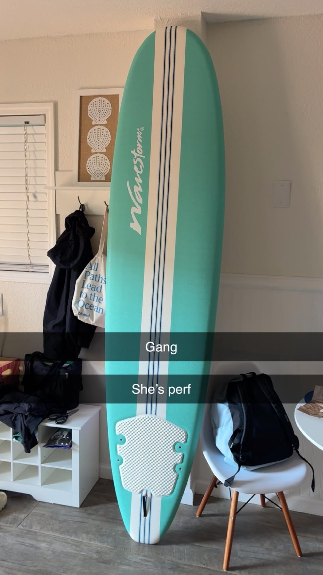 WAVESTORM 8ft Premium Classic Longboard Surfboard customer photo 1