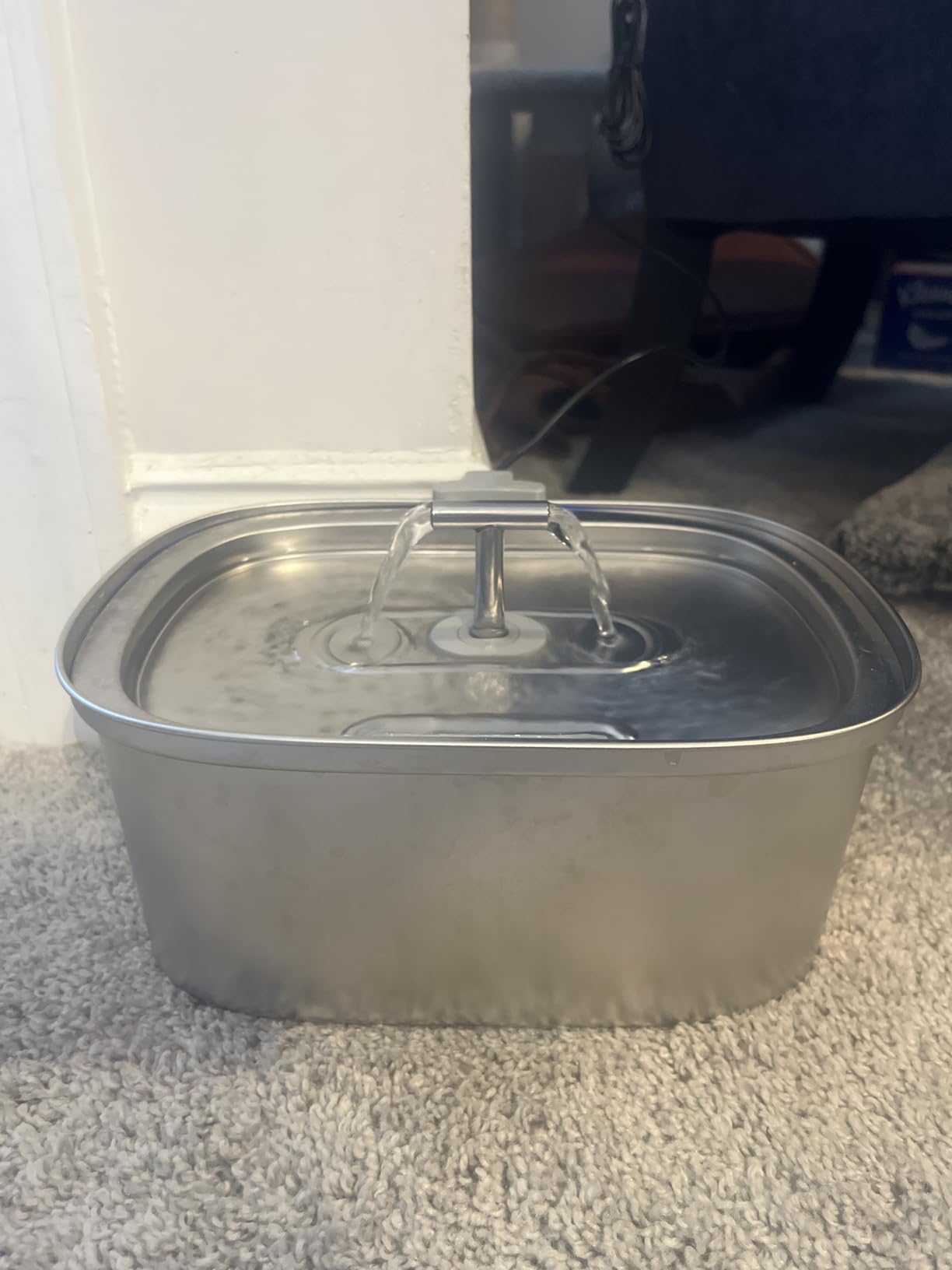 Cat Water Fountain Stainless Steel: Rellaty 3.2L/108oz Pet Water Fountain customer photo 1