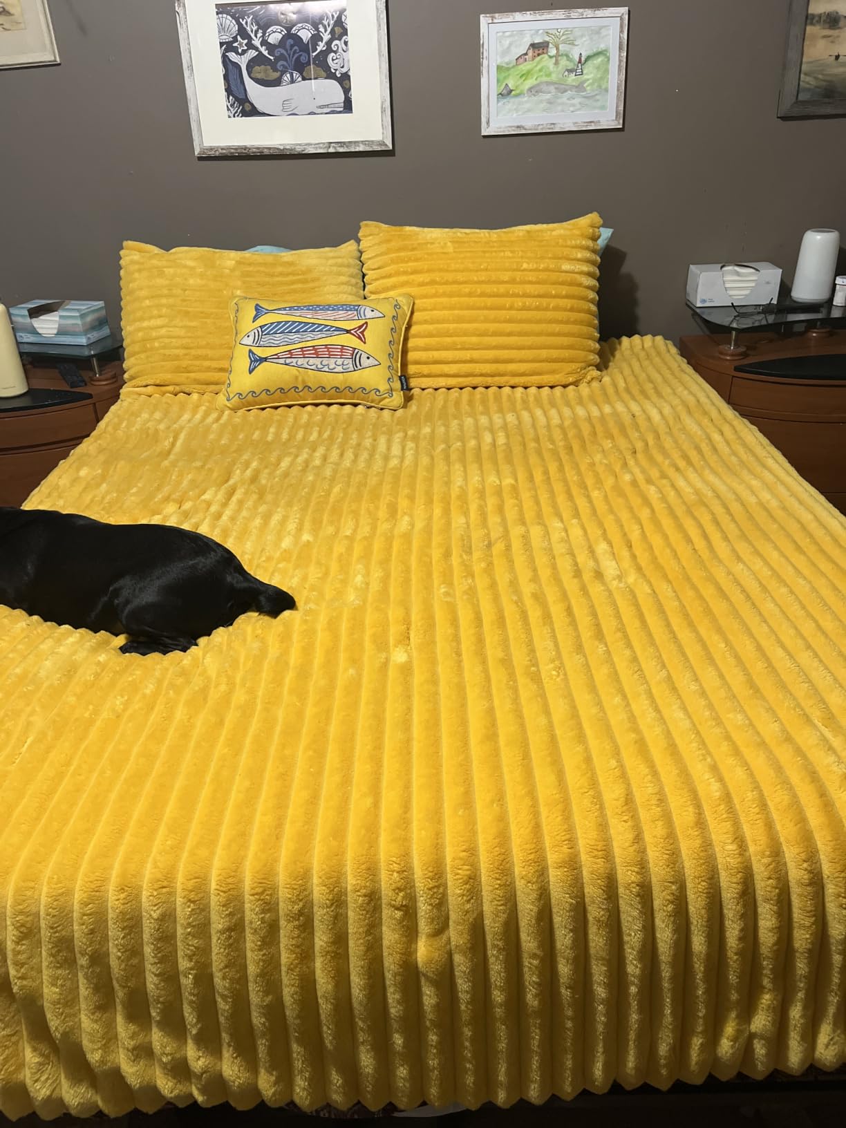 BEDELITE Fleece Queen Comforter Set, Fluffy Bed Set, Cream White customer photo 1