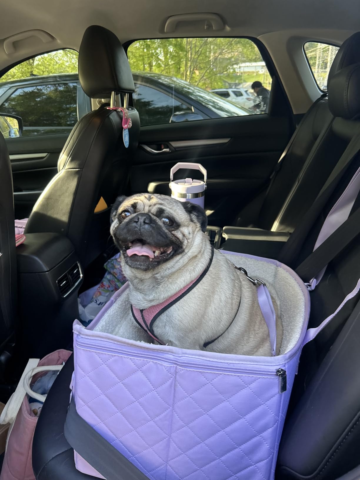 PETSFIT Dog Car Seats for Small Dogs – Patented Safety Buckles – Safety Tether – Foldable Travel Dog Booster Car Seat Reduces Anxiety & Road Trips – Stable Frame, Soft Cushion, Fits Front/Back Seat customer photo 2