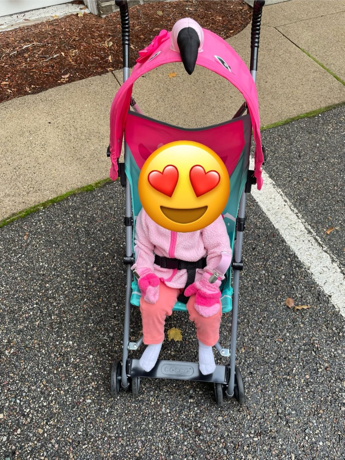 Cosco Character Umbrella Stroller, Easy to Store Anywhere with its Compact Umbrella fold, Pink Flamingo customer photo 1
