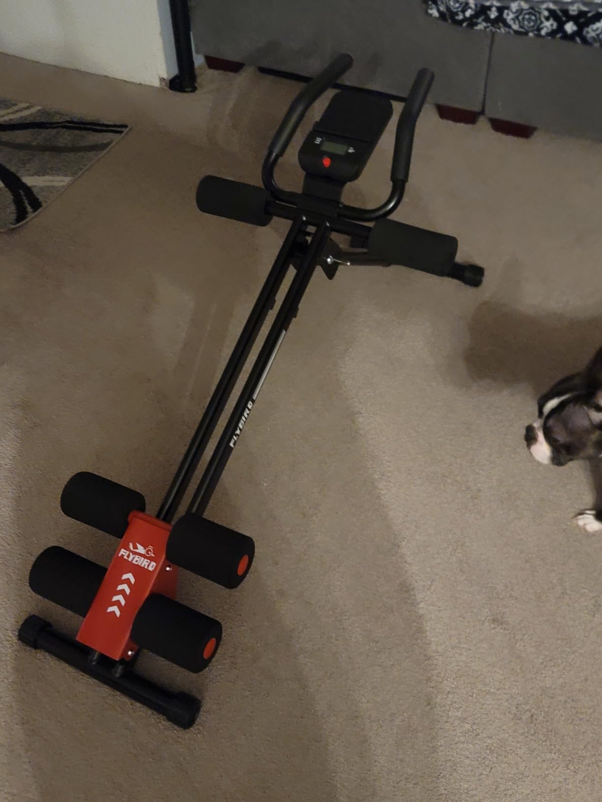 FLYBIRD AW1 Ab Workout Machine, Ab Crunch Machine Ab Workout Equipment Foldable for Home Gym, Bottom-Up Abdominal Trainer for Core Waist Workout and Body Shaping with Adjustable Heights and Angles, Red customer photo 1