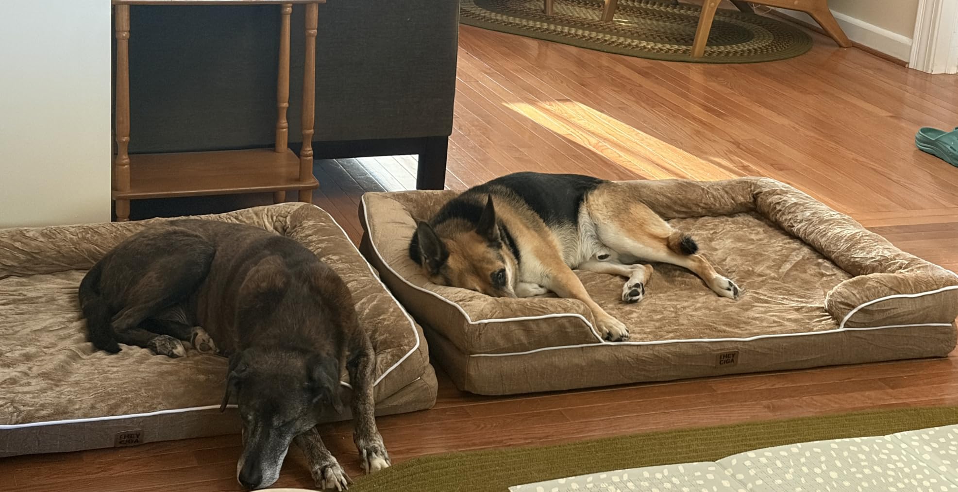 EHEYCIGA Orthopedic Dog Beds Large Sized Dog, Waterproof Memory Foam Pet Bed with Sides, Non-Slip Bottom Large Pet Bed with Washable Removable Cover, Grey | Non-Slip Bottom and Egg-Crate Memory Foam XL Dog Couch Bed with Washable Removable Cover, Grey customer photo 1
