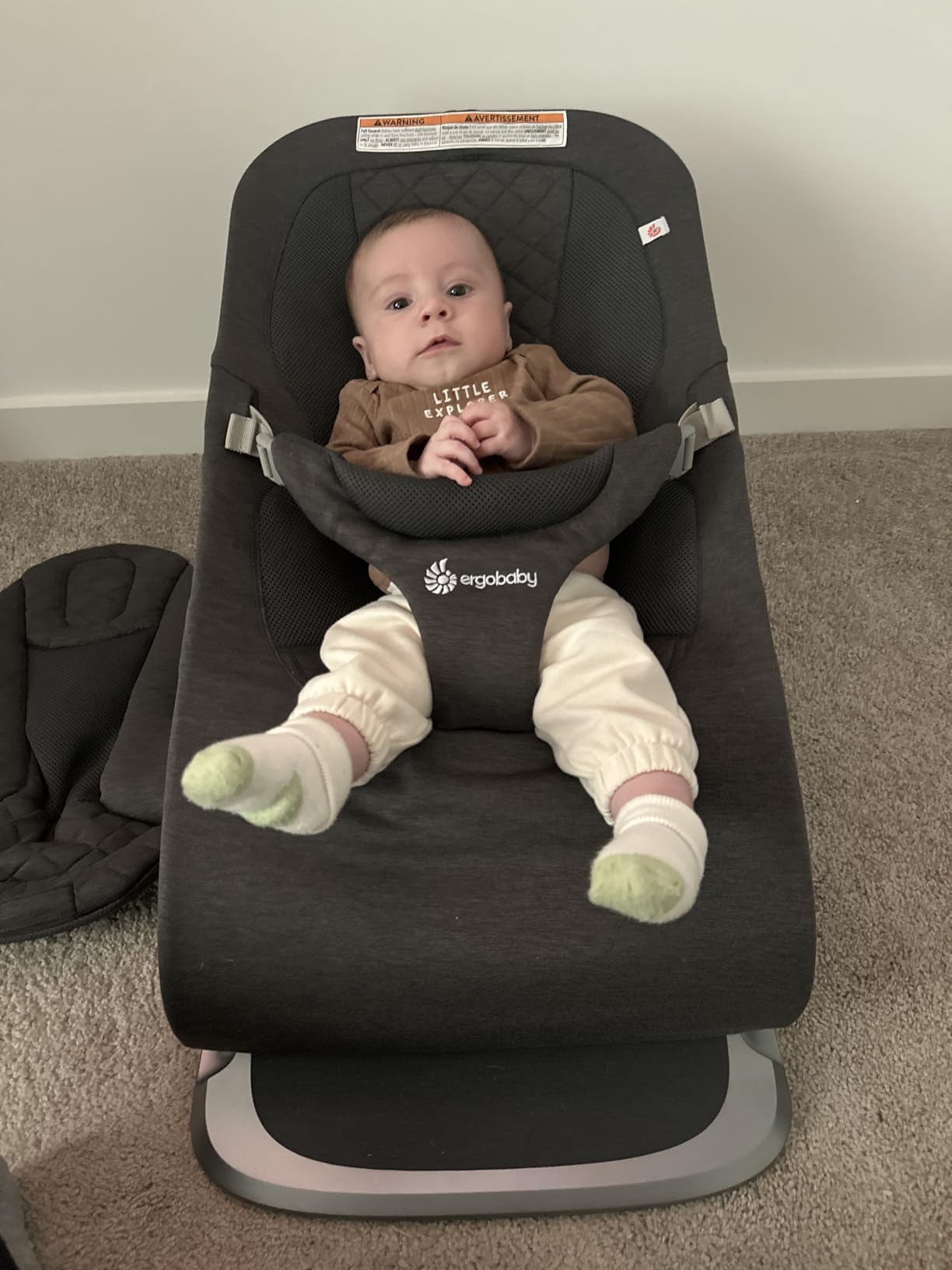 Ergobaby Evolve 3-in-1 Bouncer Seat for Babies and Toddlers 5.5-25 lbs customer photo 1
