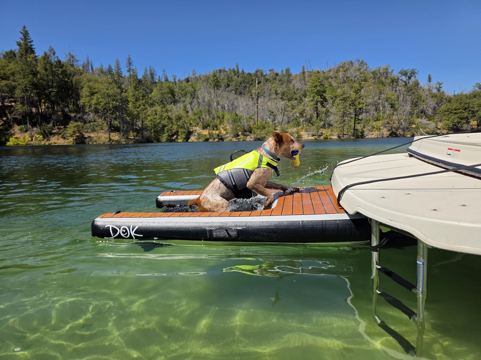 DOK Dog-DOK Inflatable Dock Platform: Safe & Easy Water Access for Dogs Up to 250 lbs; Floating Non-Slip EVA Foam with Dog Boat Ramp for Pool, Dock, & Lake | Military Grade & High Visibility customer photo 2