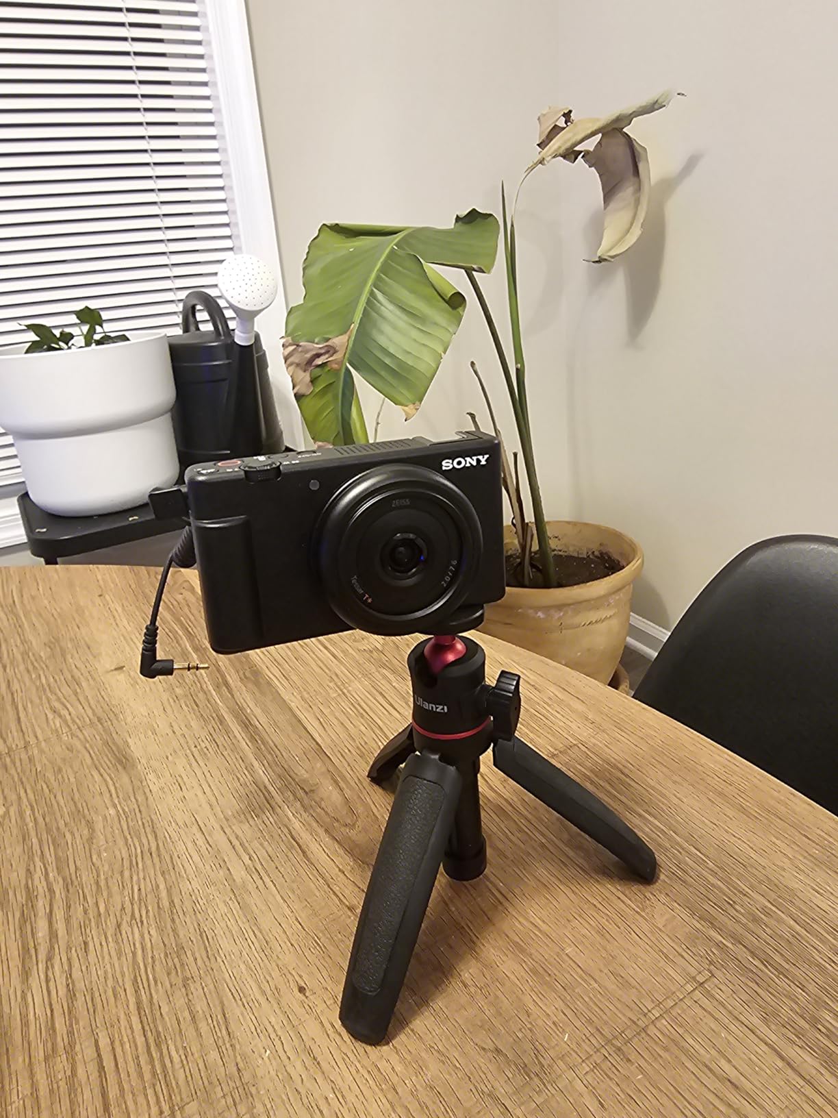 Sony ZV-1F Compact Digital Camera 4K Video White customer photo 2